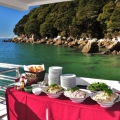 abel tasma 1 cruise